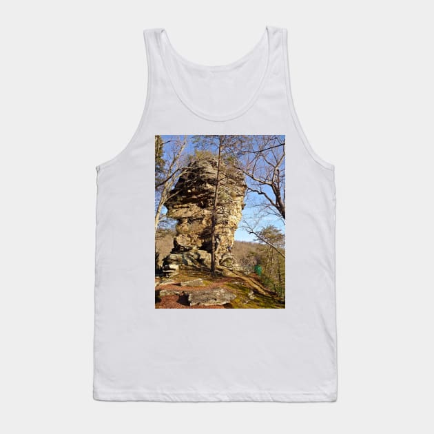 Storming The Castle Tank Top by PaulLu